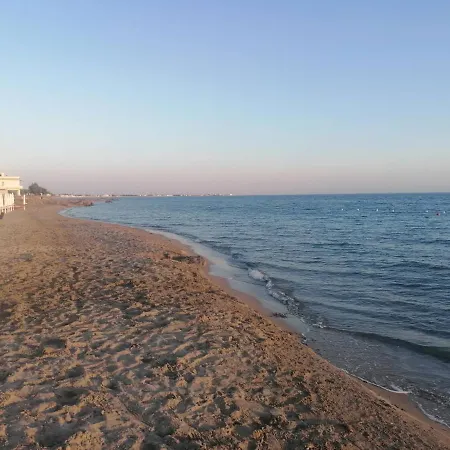 Sofia * Marsala
